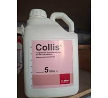 Коллис (Collis) 5л (аналог Сигнума)