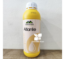 Атланте (ATLANTE) 1л